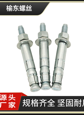 后扩底机械锚栓膨胀螺丝单双管自切式重型锚栓M10M12M14M16M20M24