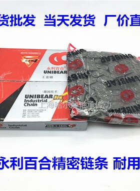 工业传动链条双排3分06B 4分08B 5分10A 6分12A 1寸16A-2德国技术