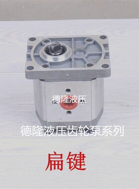 液压油泵CBN-E 304 306 310 314 316 320 325 液压齿轮泵 泵站