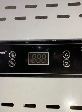 商用工程款两门冷柜 保鲜冷冻冰箱 立式两门冰箱 厨房冷柜 高性价