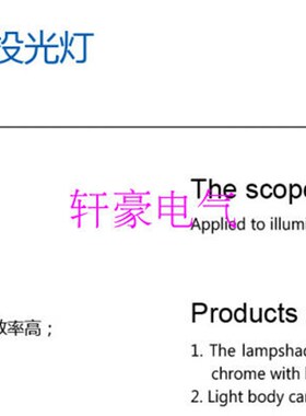 船用灯具 投光灯户外防水照明 TG2-B带网罩和TG2-A无网罩  投光灯