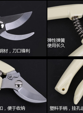剪枝剪刀园艺剪树枝修枝剪花剪园林省力花艺工具果树修剪粗枝剪子