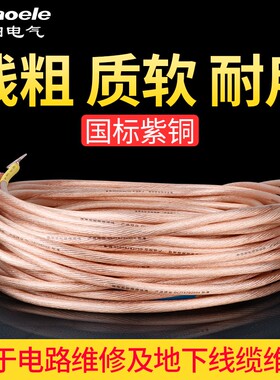 国标高压接地线软铜线16/25/35平方透明软线电线铜芯电缆线焊把线