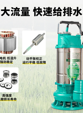 钱涛污水泵 220V家用抽水泵 380V三相排污泵 自吸式铸铁管道泵