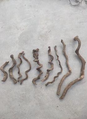 过江龙枯木树枝花艺造景材料爬宠造型热带鬃狮蜥蜴守宫睫角蛇攀爬