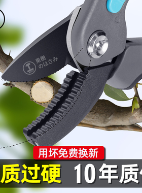 绿林剪枝剪刀果树园艺剪刀修枝剪树枝园林专用花卉修剪枝条果枝剪