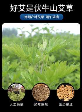 陈年艾柱50:1 灸疗柱非无烟艾粒盒装陈艾绒柱金艾绒54粒艾灸柱