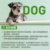 Small dog hind leg patella fixed leg brace