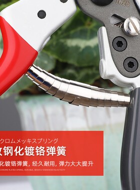 园艺剪刀果树修枝剪日本进口SK5钢花卉花木园林造型剪专用剪神器