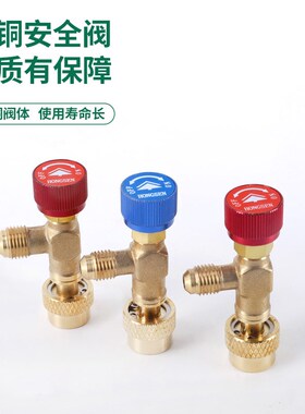 家用空调安全阀R22 R410A加液氟冷媒制冷剂雪种阀门工具转换接头