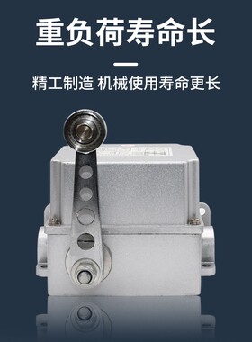 行程限位开关DF1-A/B 重负荷限位器 耐高温壳可调转臂滚轮摆杆式