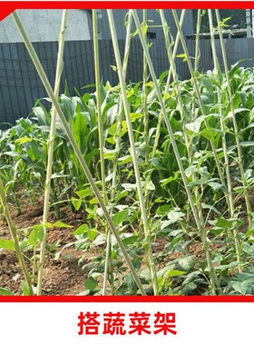 高弹力拱棚大小支架菜棚保温棚花棚玻纤杆农用拱竿骨架玻璃钢实心