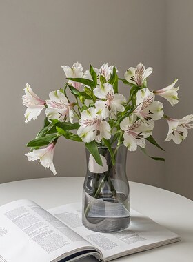 郁金香花瓶摆件客厅插花玻璃透明高级感水养水培百合鲜花餐桌网红