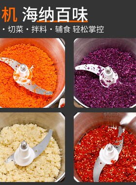 龙德利6升送刀不锈钢绞肉机 电动家用大容量料理机 绞肉绞菜两用