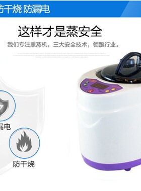 家用大容量熏蒸机 御沣4升蒸锅适用美容院 中药材蒸汽发汗仪