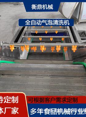 全自动连续式气泡清洗机果蔬清洗设备生菜清洗机设备厂家供应