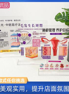 美容展示牌立牌分层抗衰肌肤结构亚克力医学面部皮肤解剖知识医美