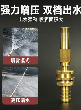 铜质宝塔接头高压洗车水枪增压水管家用喷嘴喷枪喷水头4/6分水嘴