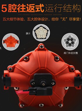 SEAFLO隔膜泵52系列自吸泵直流水泵自动泵房车游艇泵增压泵12/24V