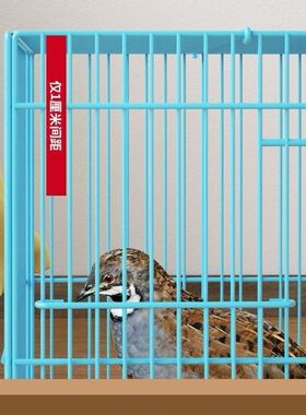 德国进口芦丁鸡专用养殖笼家用加密大号鸡笼子雏鸡雏鸭鹌鹑鸽子养