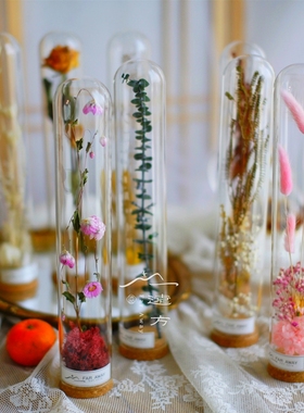 软木塞加高款玻璃罩 玫瑰干花收纳摆件diy饰品玻璃瓶试管瓶许愿瓶