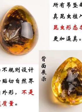 琥珀昆虫标本迷你小动物摆件真虫子蝴蝶甲虫虫珀石饰品挂件蜘蛛蝎