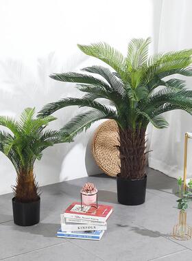 仿真铁树盆栽假植物仿真树绿植苏铁树商场绿植大装饰客厅大绿植