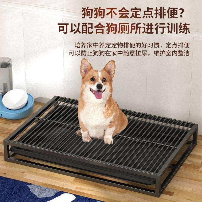 Border collie special toilet, flush dog toilet that does not require pee pad, fawn dog, Teddy, large dog, no-wash toilet