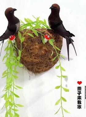 墙壁装饰挂件彷真燕子春季装饰品 家居装饰 彷真小鸟燕窝燕巢鸟窝