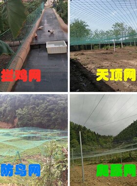 养殖网养鸡网尼龙网拦鸡网围鸡网家禽塑料网护栏网菜园围网防护网