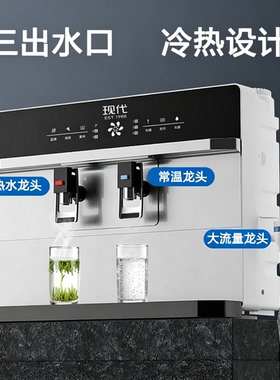 现代净水器直饮加热一体机