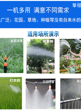 高压4分外牙100W抽水泵自动浇花雾化灌溉喷雾消毒降温防尘抽水机