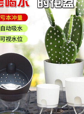 厂家直销家用透明塑料简约白色无孔水培带营养土懒人花盆自动吸水
