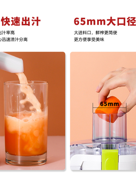 小型榨汁机汁渣分离全自动家用婴儿辅食专业果肉蔬多功能原炸汁机