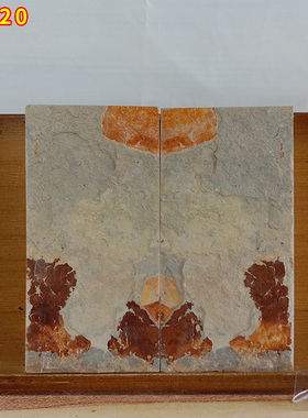 1天然石板画原石对板画草花石工艺品奇石观赏石画面石家居摆件