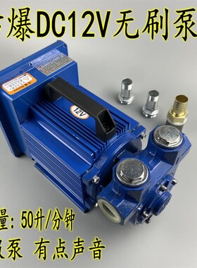 无刷防爆汽油泵小型计量12V24V220V电动抽油泵自吸泵静音电控泵