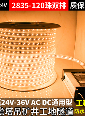 led灯带220V100米低压24v36v养殖户外防水工程工地下室隧道照明灯