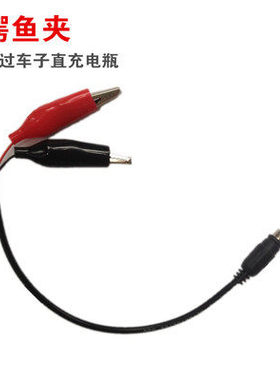6V12V儿童车电动遥控摩托玩具汽车蓄电池专用充电器源适配件