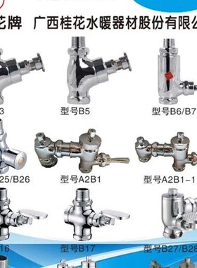 桂花牌延时自闭式大便冲洗阀精品款B25 B26加厚手按冲水阀6分1寸