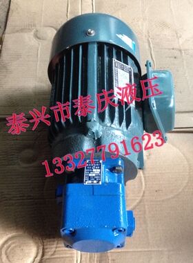 内插l叶片油泵电机组YB1-50/32/40插入式电机5.5KW 6级 B35立卧式