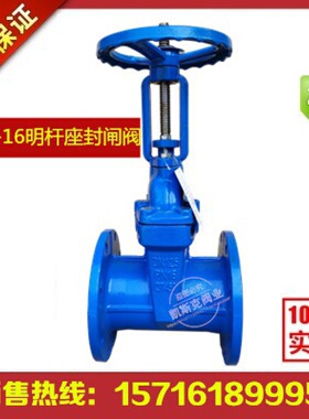 Z41X-16明杆弹性座封闸阀DN100 DN125 DN150 DN200 DN250 DN300