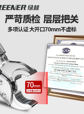 绿林大力钳子多功能夹钳手动压力钳重型工业级木工工具加力大力钳