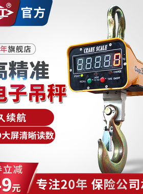 VAYA电子吊秤吊称5吨3吨1吨2/T无线打印工业吊钩/秤带充电器电池