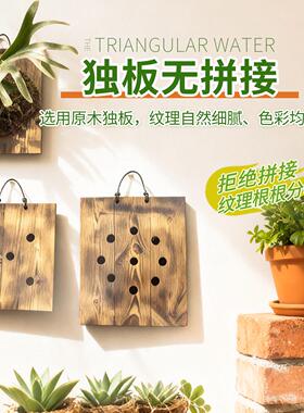 鹿角蕨上板鹿角蕨碳化板鹿角蕨挂板鹿角蕨板植挂板鹿角蕨定值板