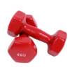 Free shipping frosted plastic-impregnated dumbbells for women's home aerobics, yoga, thin arms, round heads, small men's fitness and fat loss