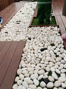 鹅卵石雨花石原石天然艺石子鱼缸花盆鹅软石装饰盆园栽小五彩石头