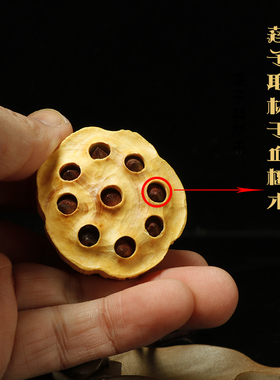 乐清黄杨木雕刻莲蓬吊坠挂件莲子手把件汽车挂件收藏摆件工艺礼品