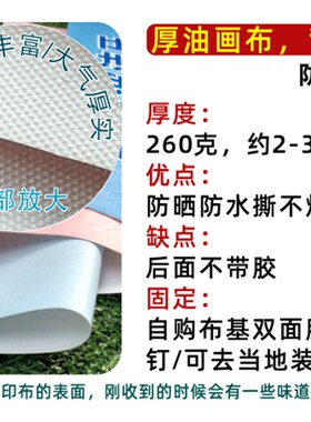 花开富贵牡丹图富贵满堂客厅装饰画新中式花鸟背景墙国色天香壁贴