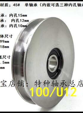 圆槽钢丝绳轮100mm吊车滑轮不锈钢起重滑轮轨道移门轮小吊机滑轮