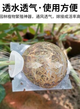 植物高压繁殖盒控根器扦插嫁接高压包生根盒枝繁殖球生根繁殖器